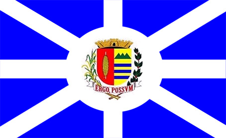 Bandeira Vargem Grande do Sul