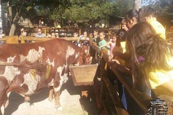 Crianças do Projeto Motivar visitam mini fazenda Pet Zoo