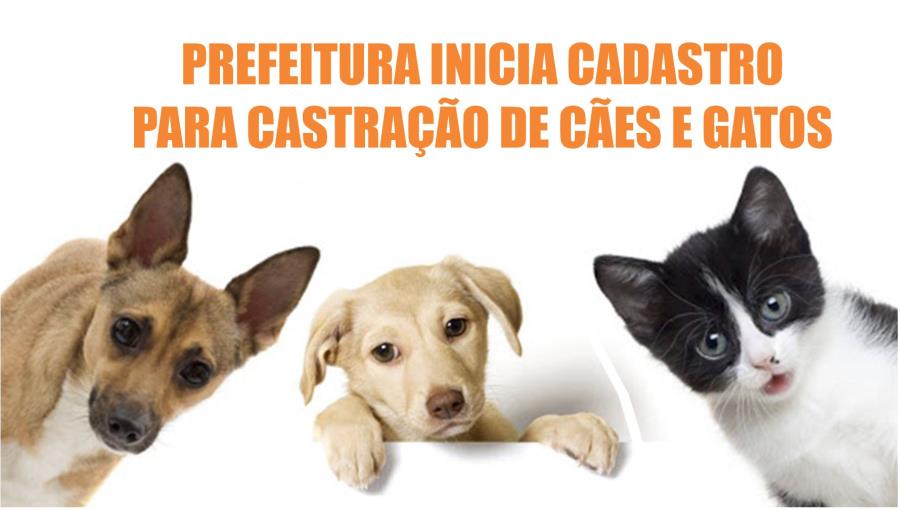 PREFEITURA INICIA CADASTRO PARA CASTRAÇÃO DE CÃES E GATOS