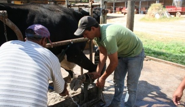 SENAR disponibiliza 27 cursos para a população de Vargem