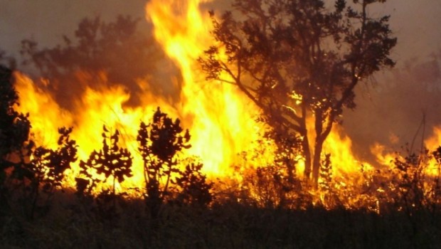 Guarda Municipal registrou 32 ocorrências de incêndio em dois meses