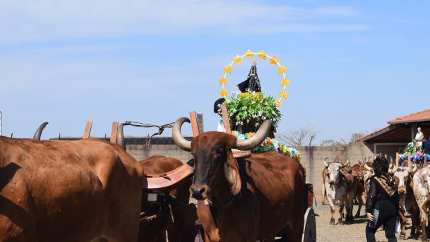 CERCA DE 4 MIL ROMEIROS PARTICIPAM DA 44ª ROMARIA