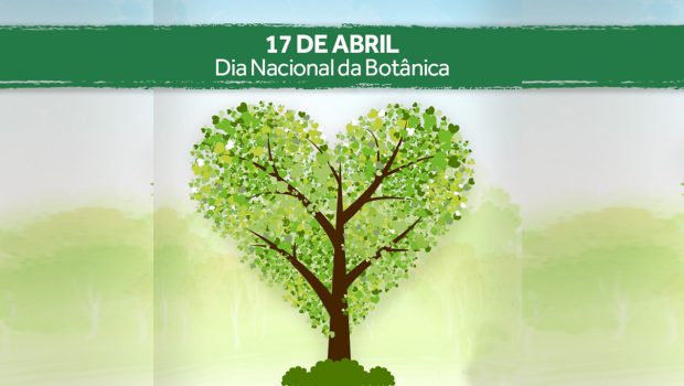 DEPARTAMENTO DE MEIO AMBIENTE FALA SOBRE O DIA NACIONAL DA BOTÂNICA