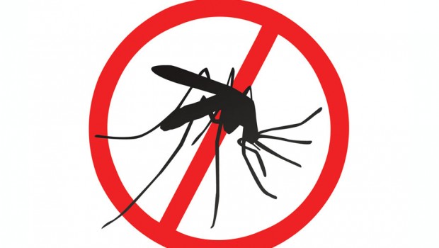 Dengue: o combate é responsabilidade de todos