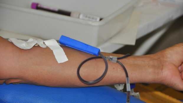 DOAÇÃO DE SANGUE TEVE UM GRANDE PÚBLICO