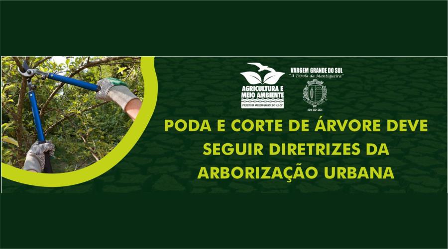 PODA E CORTE DE ÁRVORE DEVE SEGUIR DIRETRIZES DA ARBORIZAÇÃO URBANA