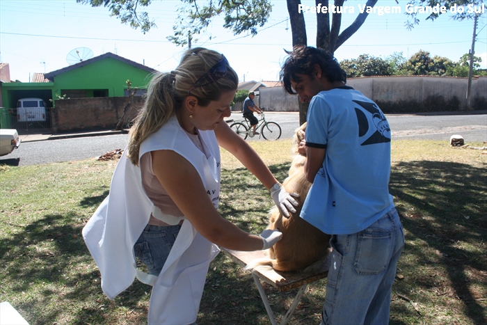 Vacinação contra raiva continua na zona rural