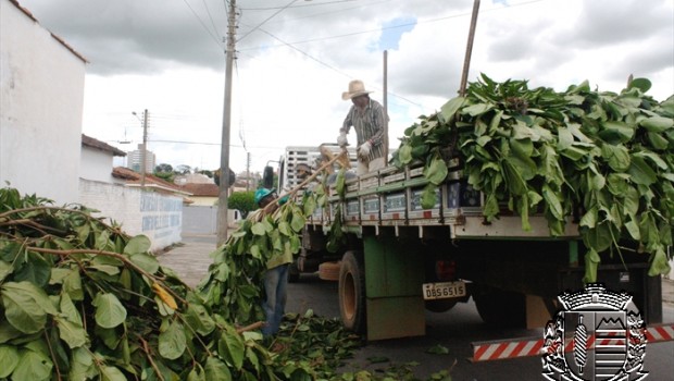 DSUR realiza Operação Cata Galho em todos os bairros da cidade