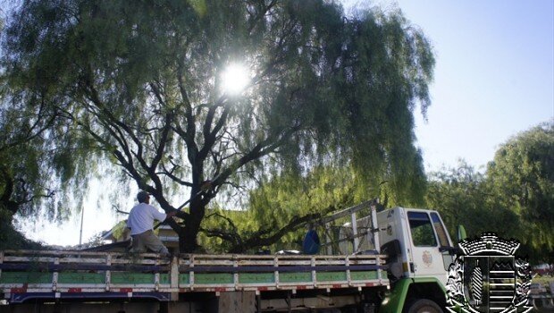 Prefeitura realiza manutenção e limpeza em praças e avenidas
