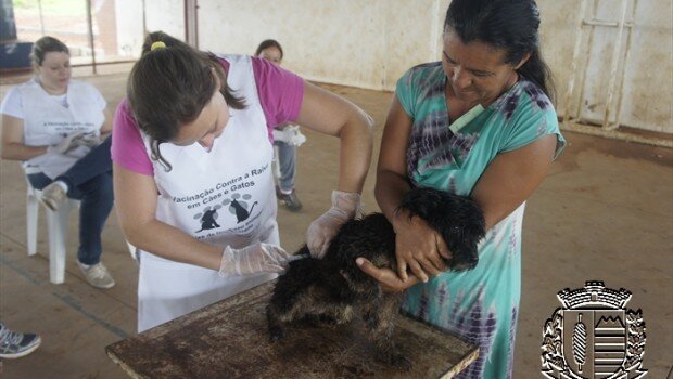 Vacinação contra raiva em cães e gatos prossegue nesta semana