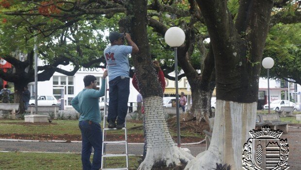 Departamento de Cultura e Turismo inicia decoração de Natal