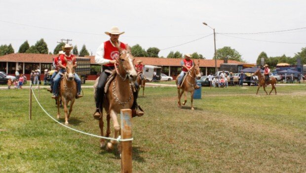 1ª Prova de Marcha de Muares e Equinos atraiu grande público