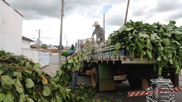 DSUR realiza Operação Cata Galho em todos os bairros da cidade